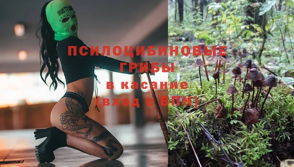 Альфа ПВП Белокуриха