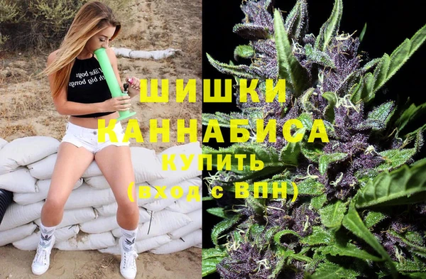 Альфа ПВП Белокуриха