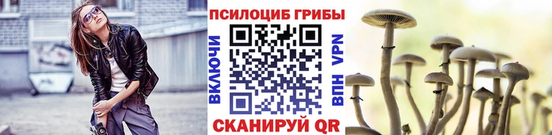 Галлюциногенные грибы ЛСД  купить закладку  Новый Уренгой 