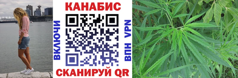 omg ссылки  Новый Уренгой  сайты даркнета Telegram  купить наркоту  Каннабис Amnesia 